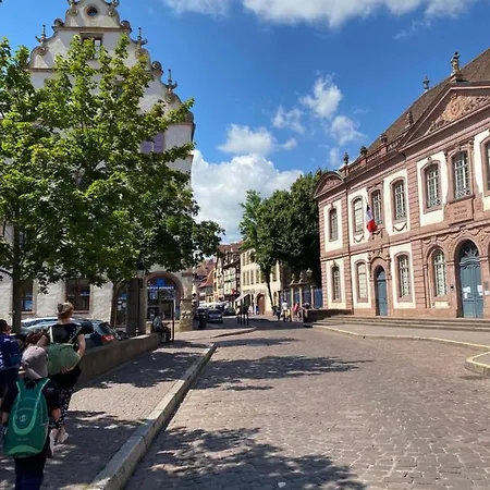 Hello Luxury Petite Venise 7 Pers Parking Velos Colmar