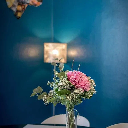 Hello Luxury Petite Venise 7 Pers Parking Velos Appartement