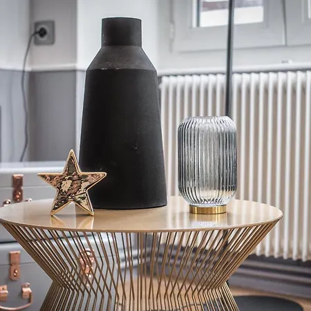 Hello Luxury Petite Venise 7 Pers Parking Velos Appartement Colmar